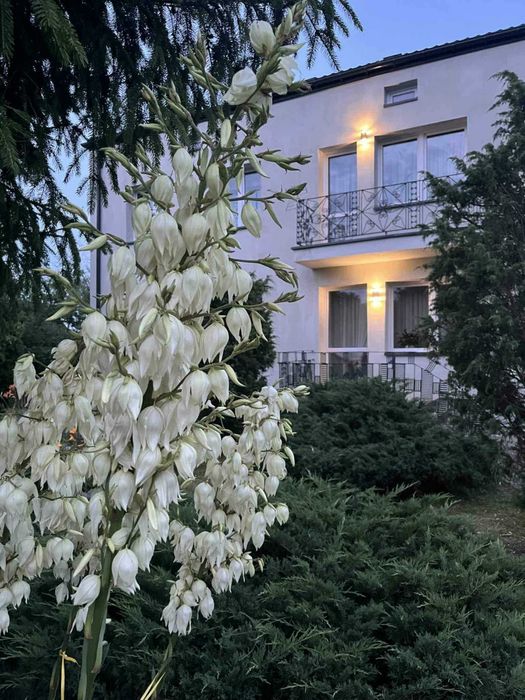 Siedlisko z domem po termomodernizacji w miejscowości Bielino