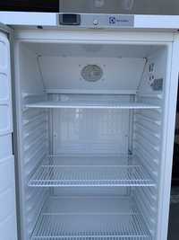 Професійна холодильна шафа Electrolux холодильник професійний
