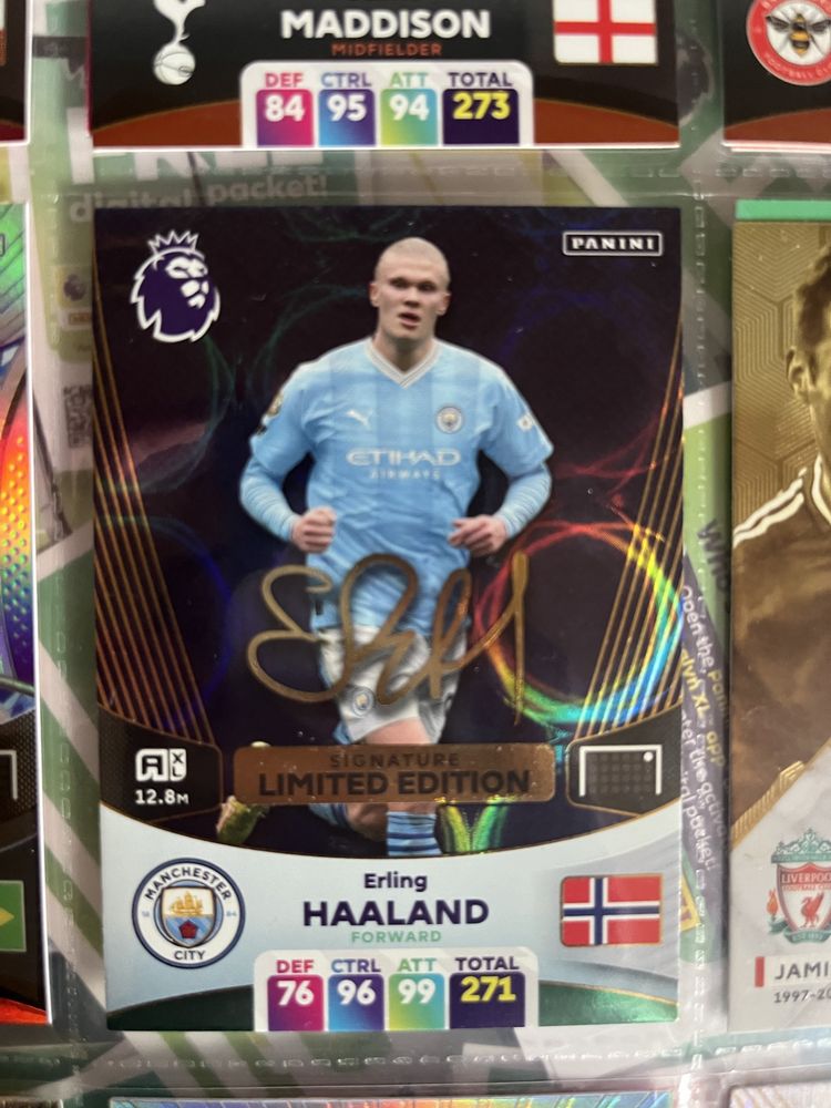 Panini premier league 2024