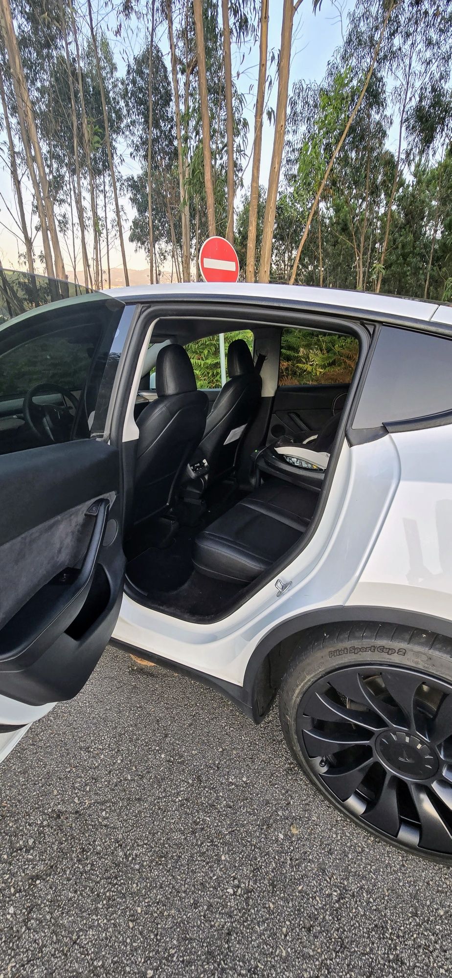 TESLA Model Y Long Range Performance  534cvs AWD
