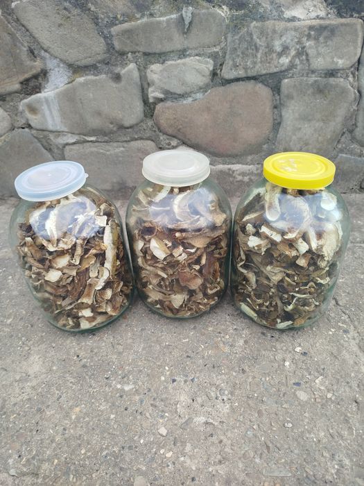 Сушені білі гриби