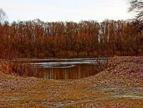 TO Земельна ділянка в стародавньому селі Боромики