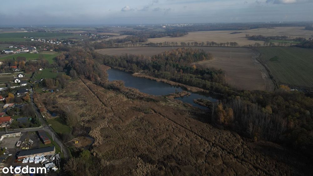 Sprzedam staw z działką wokół pod ośrodek rekreacyjny/sportowy hodowla