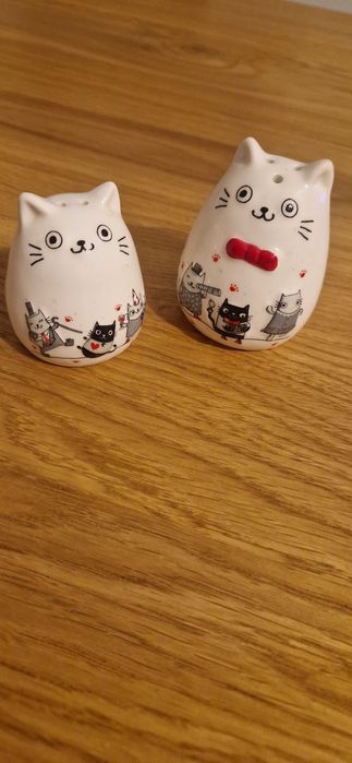 Solniczka i pieprzniczka kotki