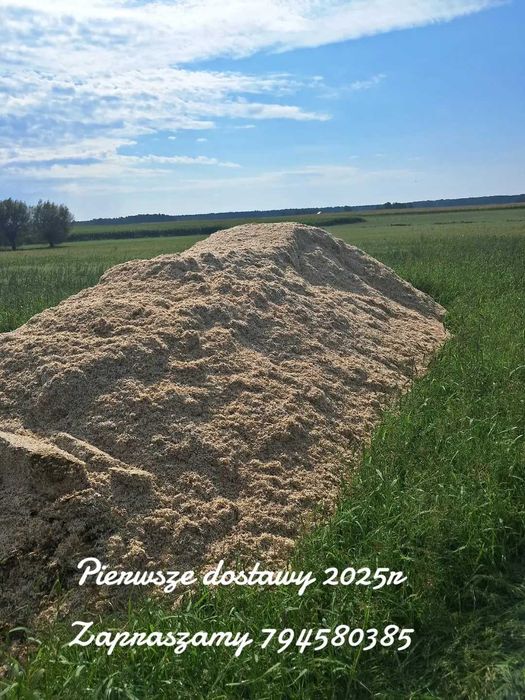 Wysłodki paszowe