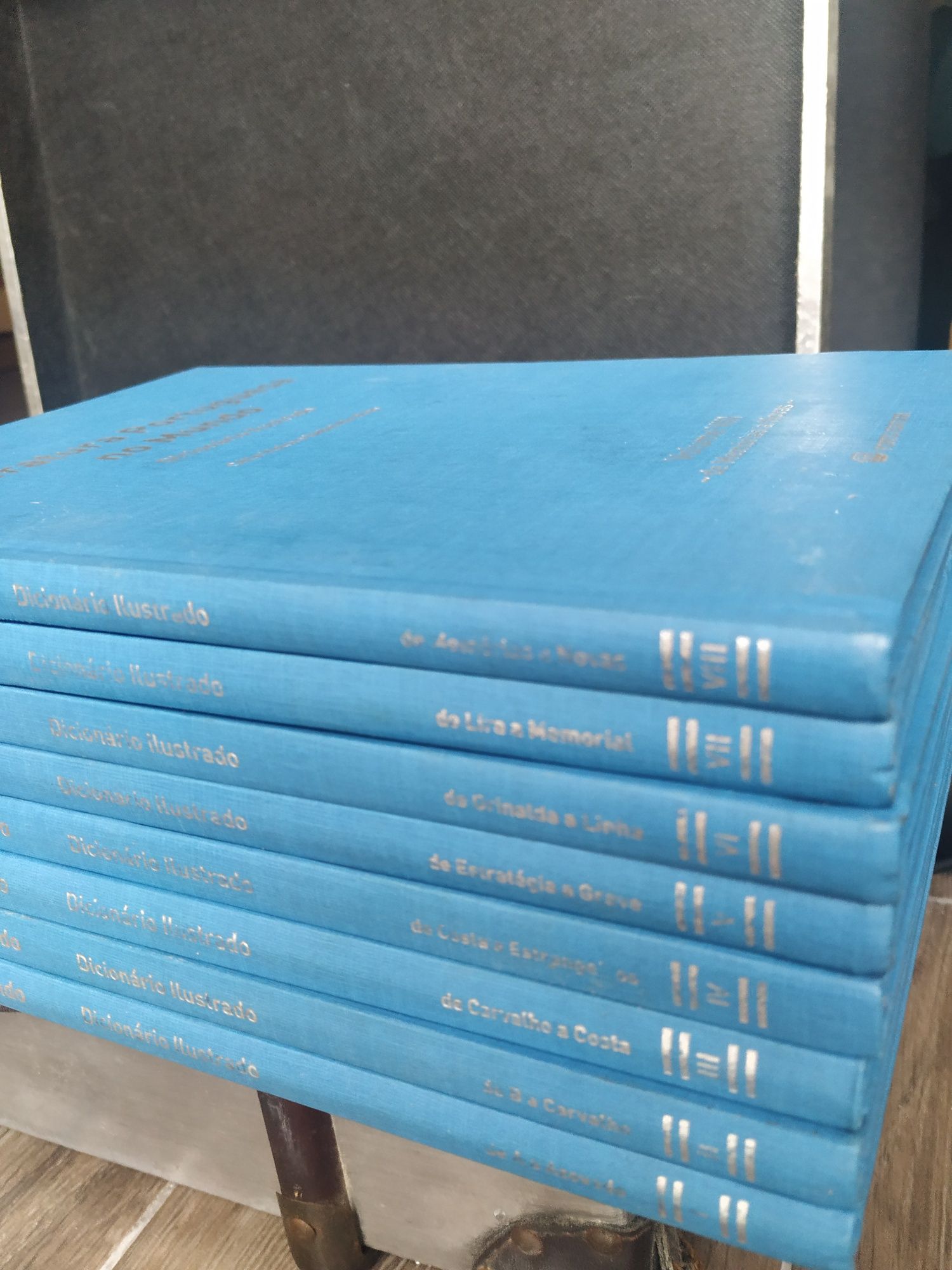 8- volumes Dicionário ilustrado