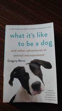 Książka "What it's like to be a dog" Gregory Burns