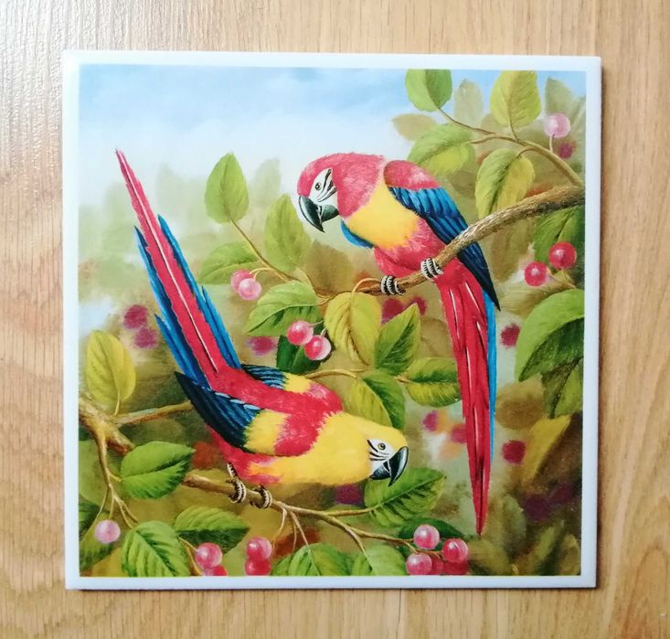 Ozdobna płytka ścienna, dekor, ptaki, papuga, koliber, kanarek