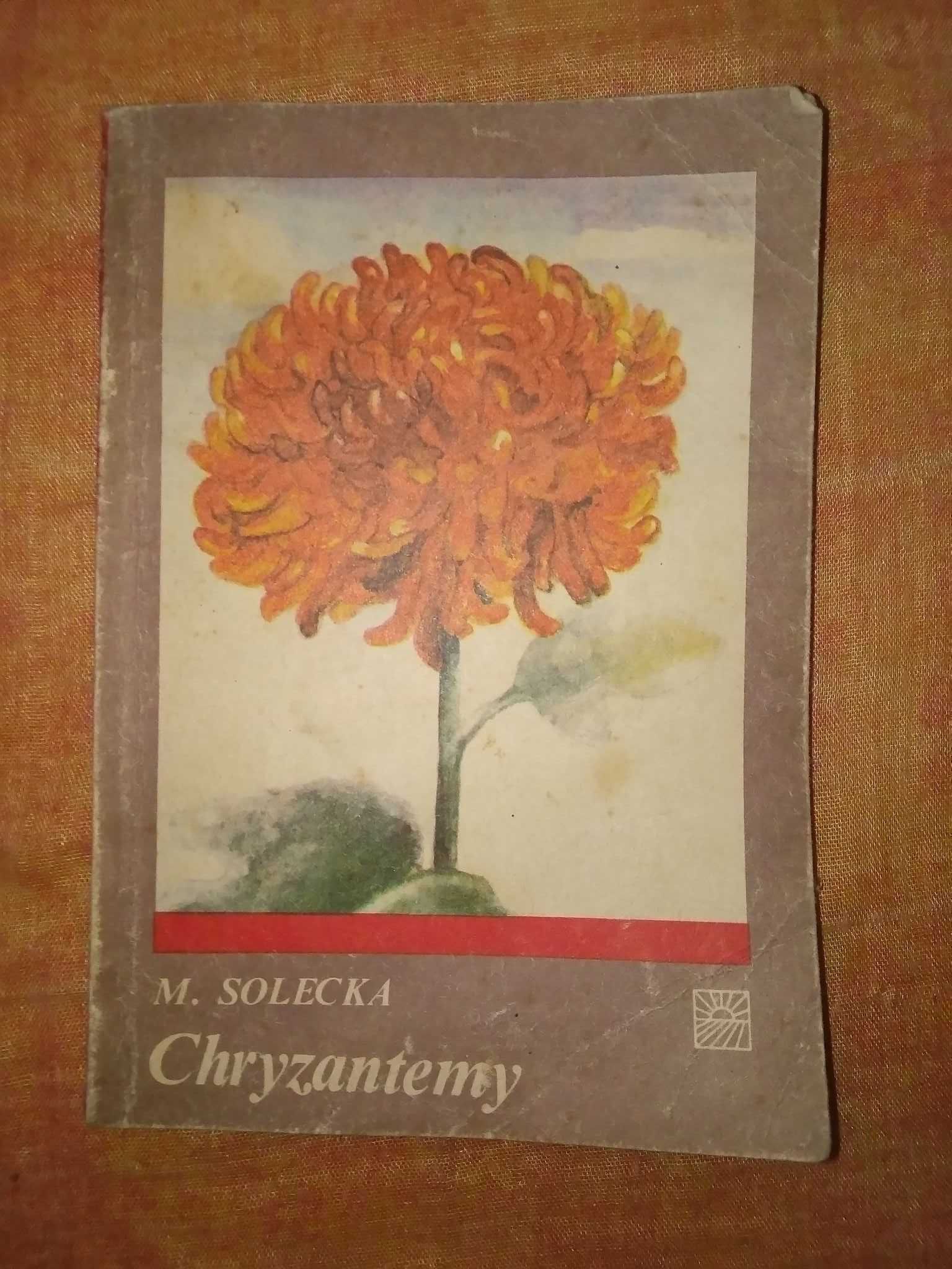 Chryzantemy Maria Solecka 1984