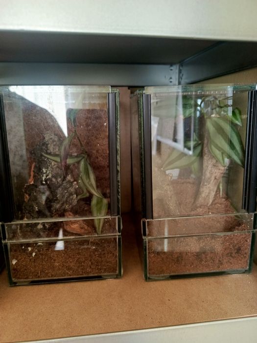 Terrarium sprzedam