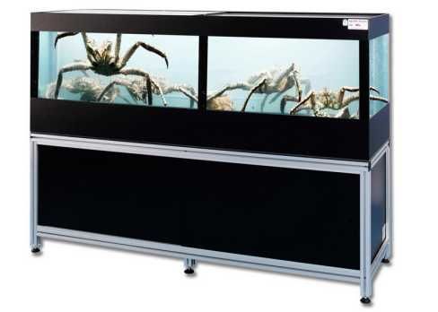 Akwarium morskie kraby homary krewetki 300l 550W 1000x500x1400 mm