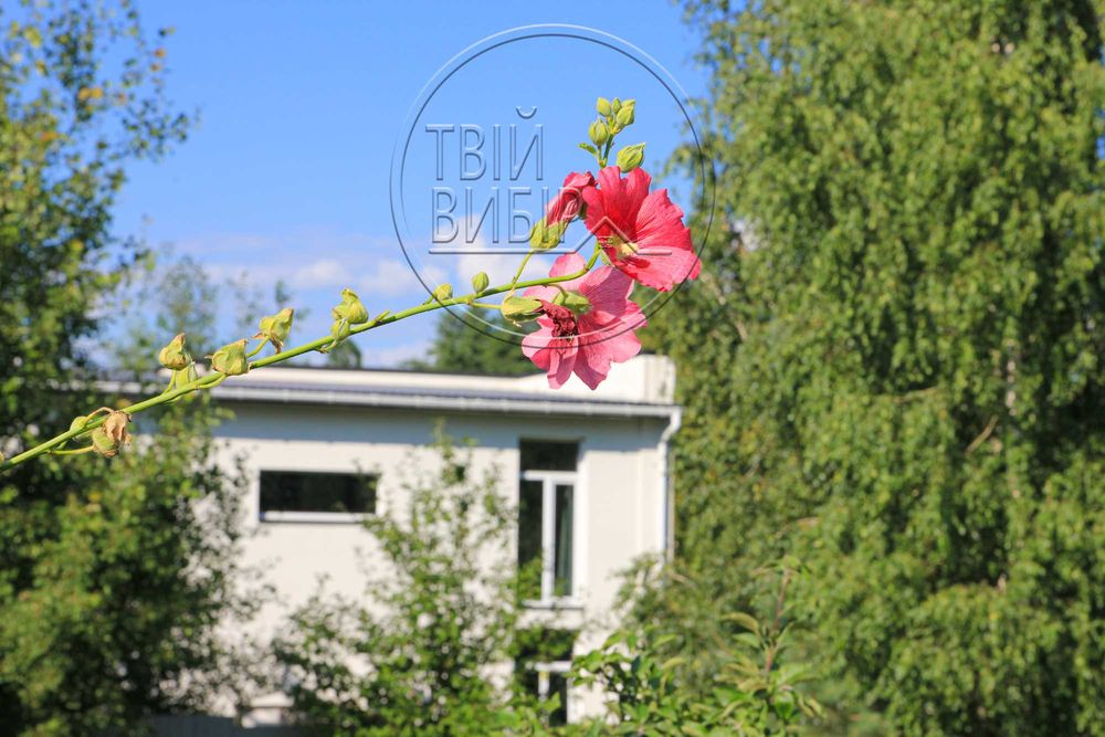 Продаж Будинку Горбовичі біля Озера