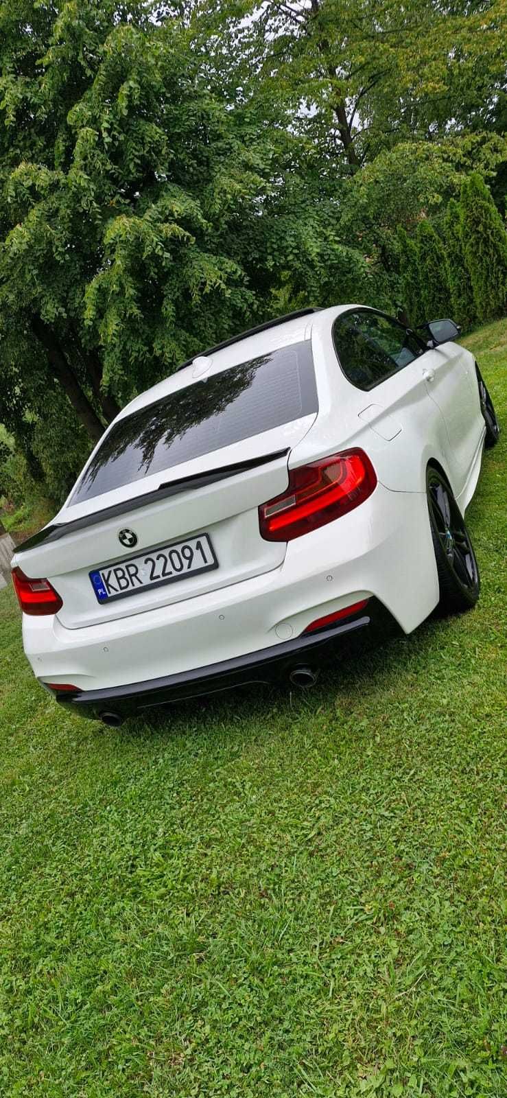 Bmw 220d F22 M Pakiet KW Friedrich M Performance
