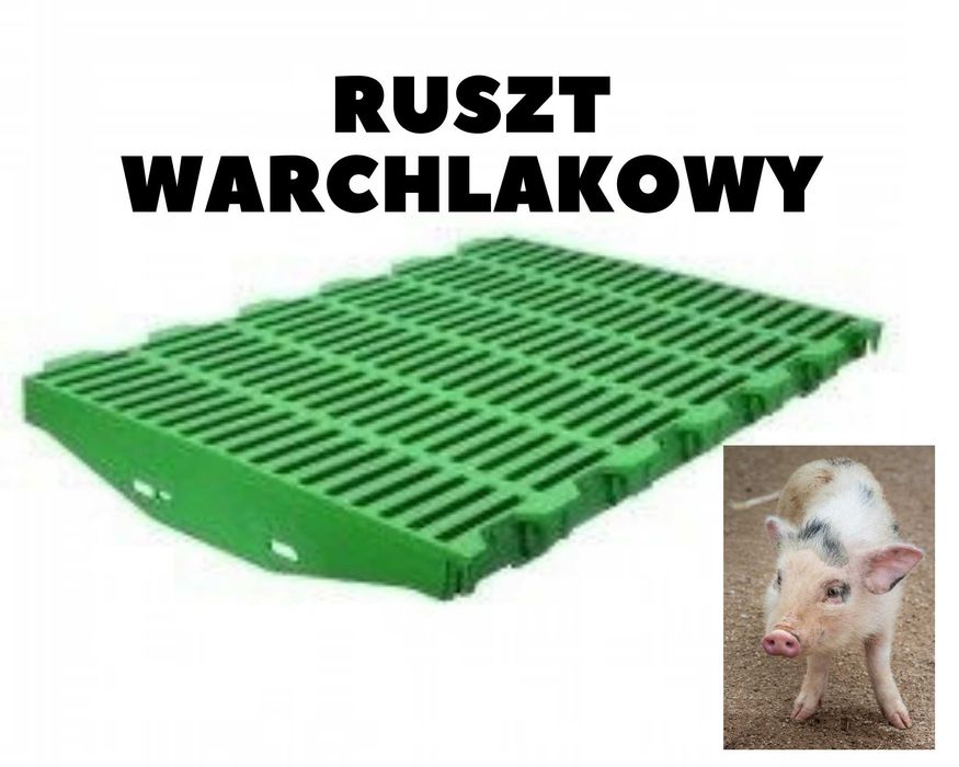ruszt  warchlakowy 60x40 zielony