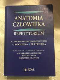 Anatomia człowieka repetytorium Bochenek