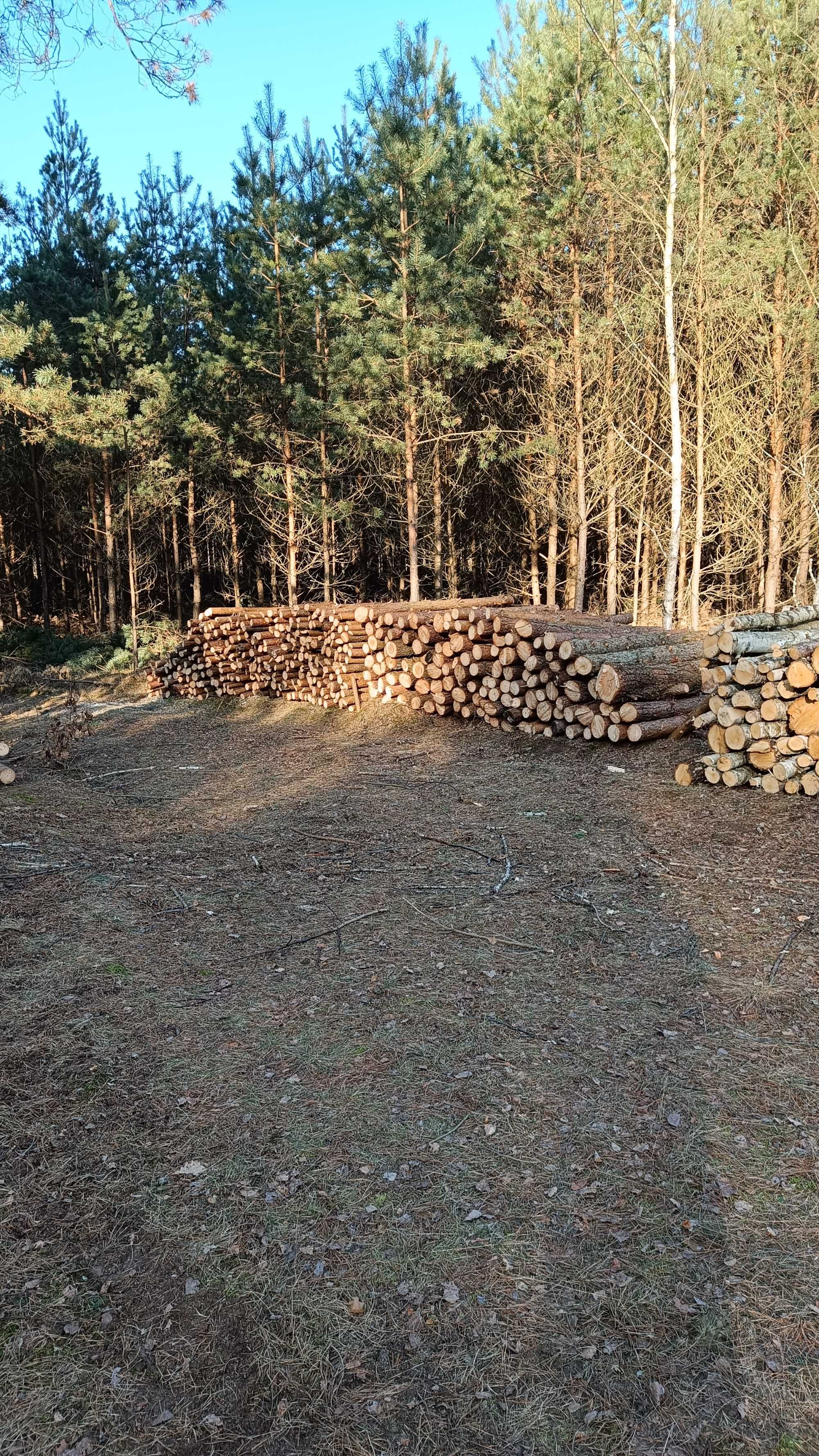 drewno opałowe  sosna cienkie grube