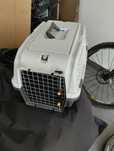 Box transporte de animais