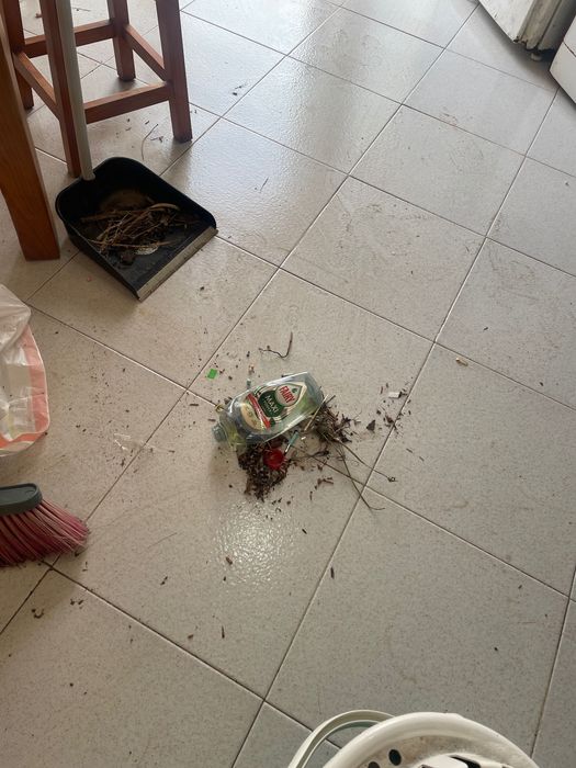 Somos uma empresa que fornece limpezas em casas particularess…