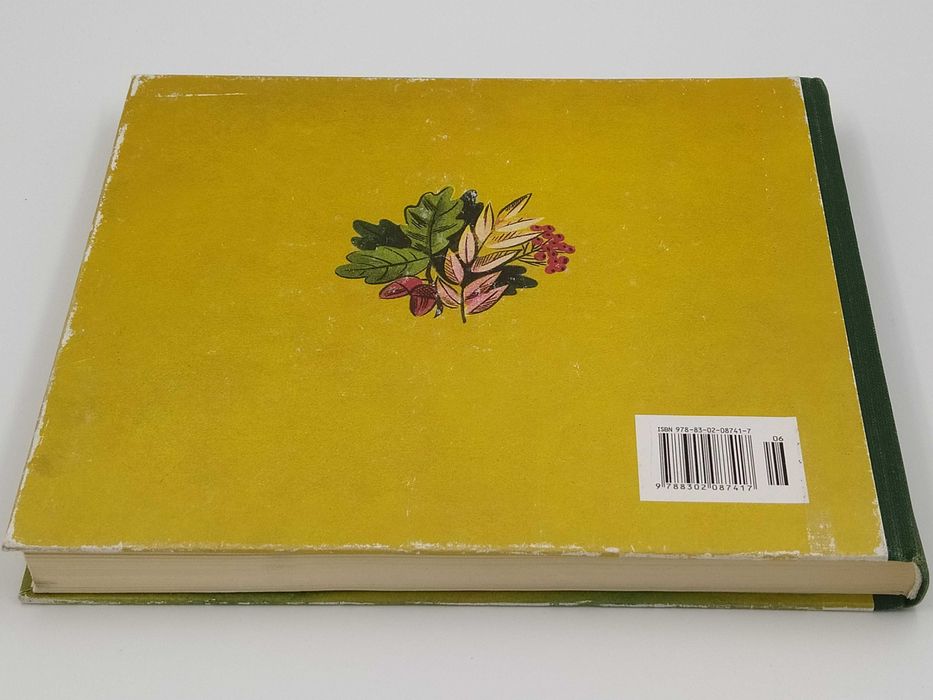 Marian Falski - Elementarz