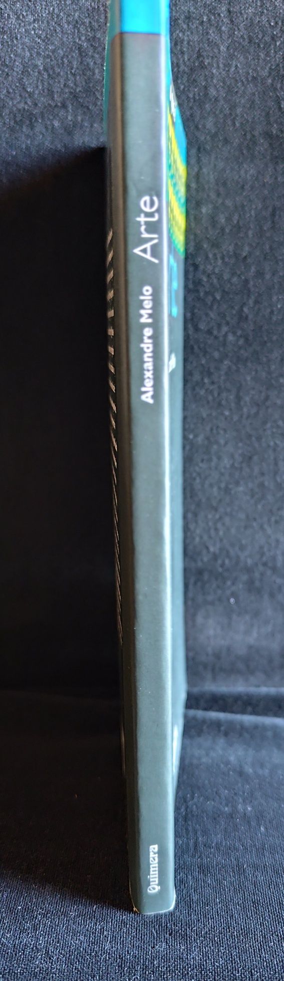 Livro "O que é Arte"