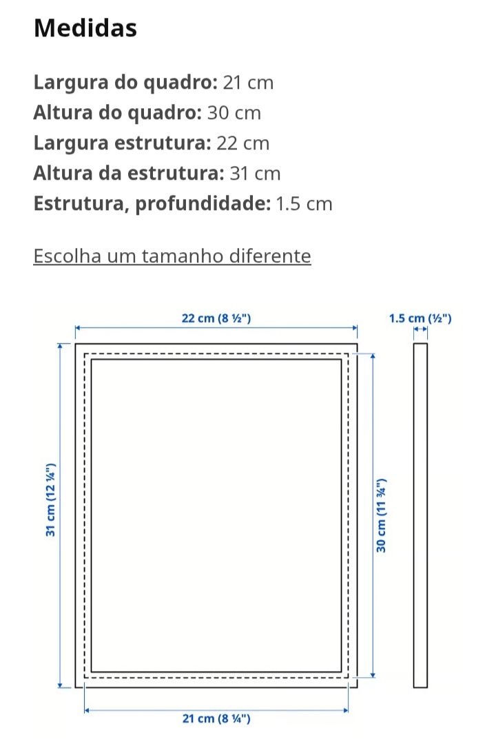 Moldura Série Dragon Ball com Autógrafo (A4)
