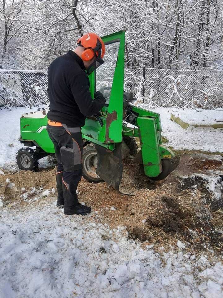 Wycinka drzew, przycinka tui, koszenie itp