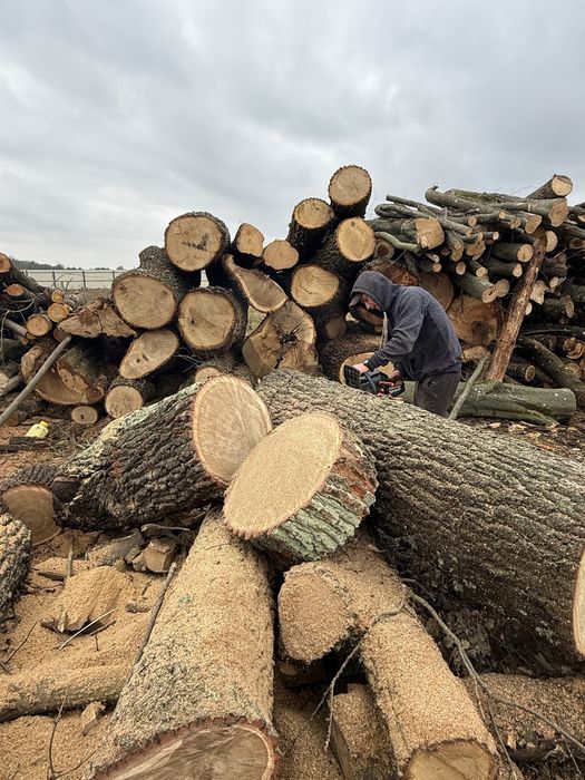 Дрова твердих порід(рубані)