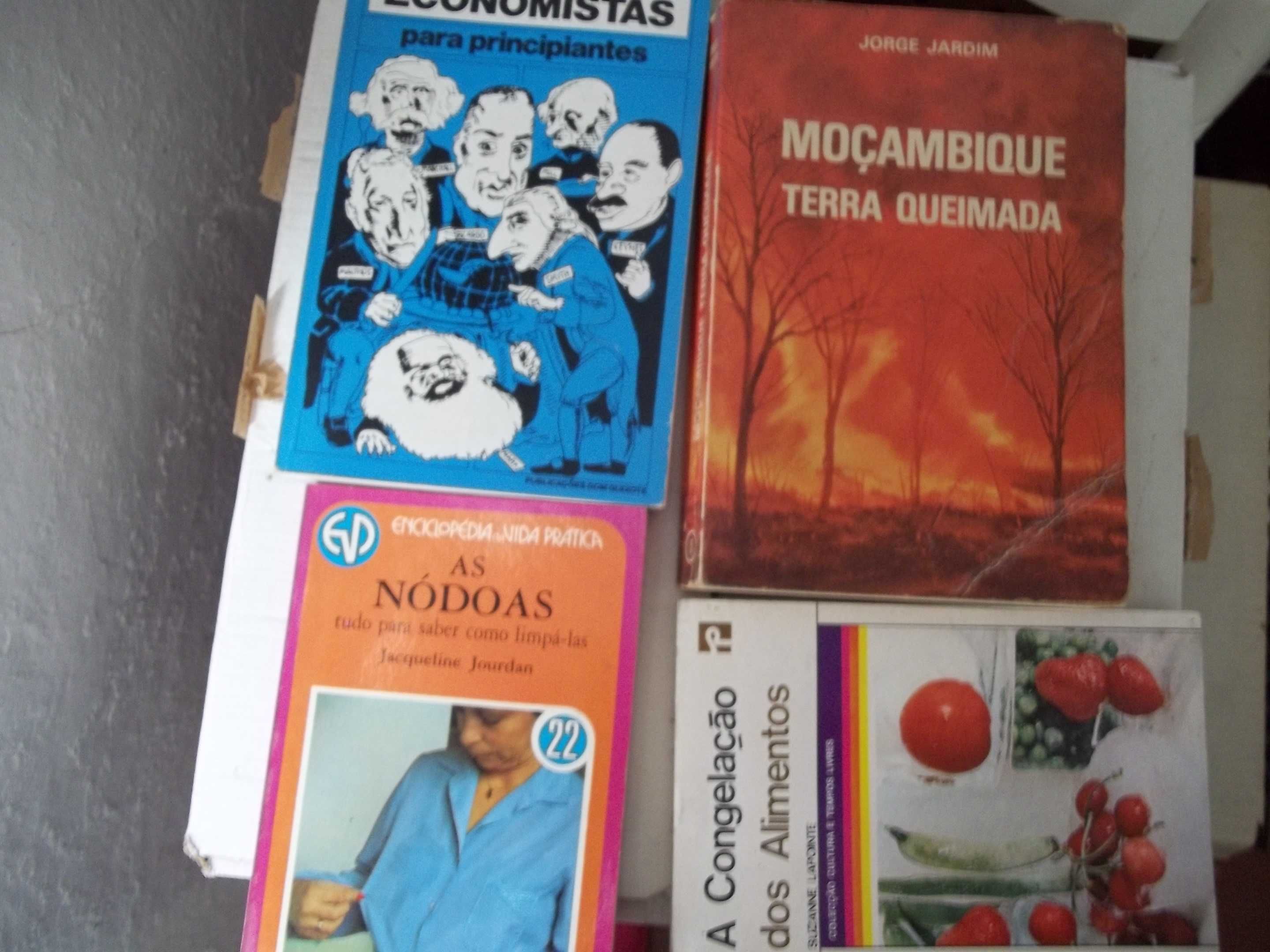 Livros técnicos e outros