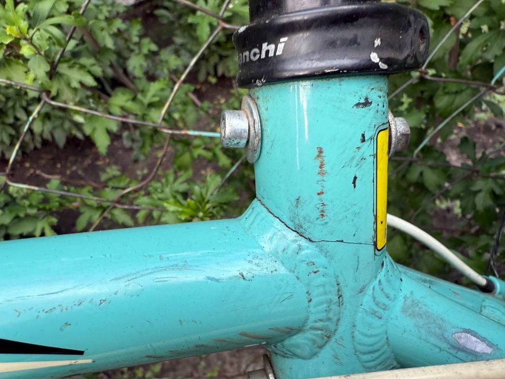 Kuma bianchi 4600