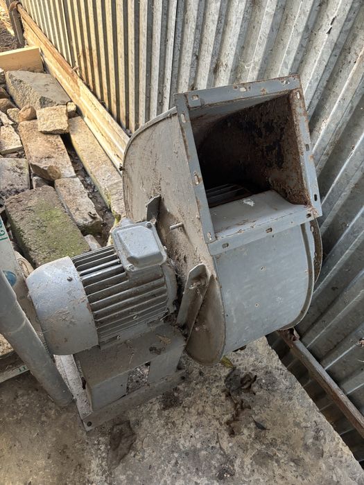 Равлик, витяжка, улітка