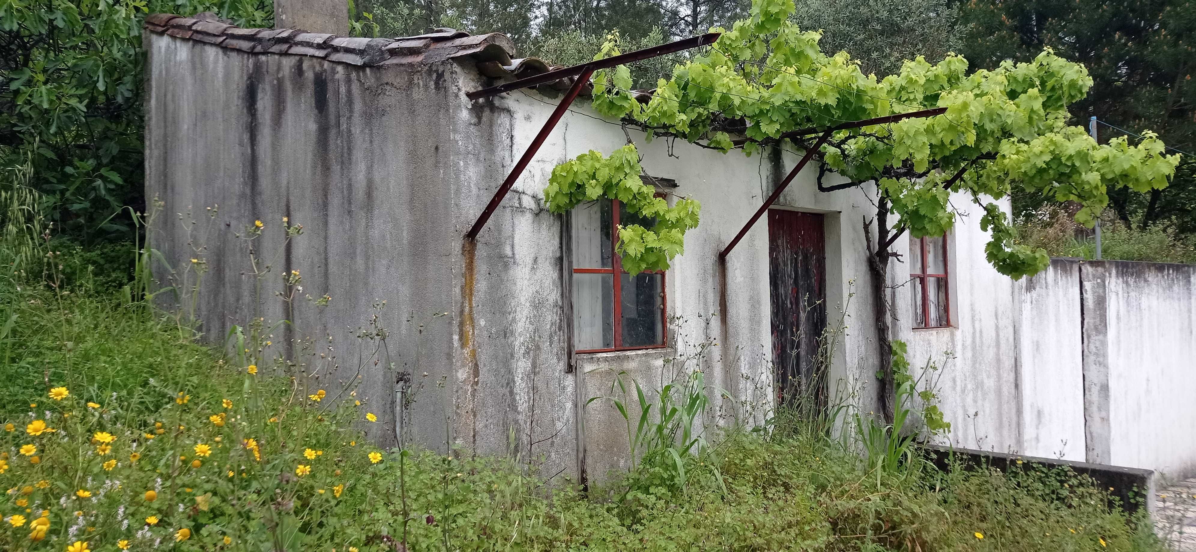 Casa antiga, aldeia Castelo- Mação