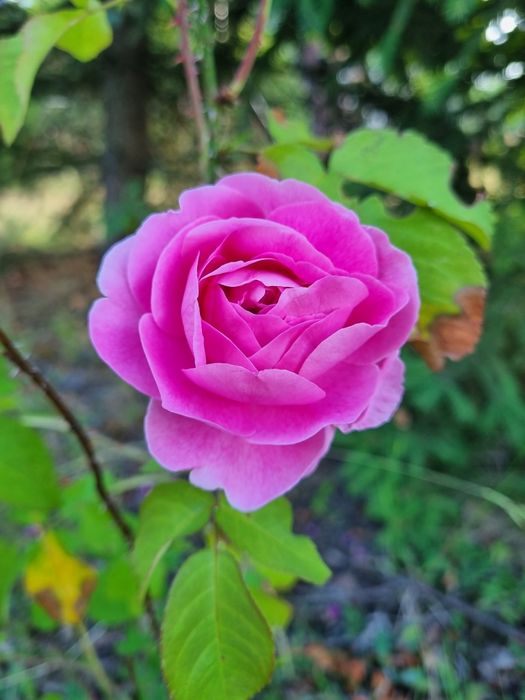 Jesienna regeneracja nad Liwcem pobyt