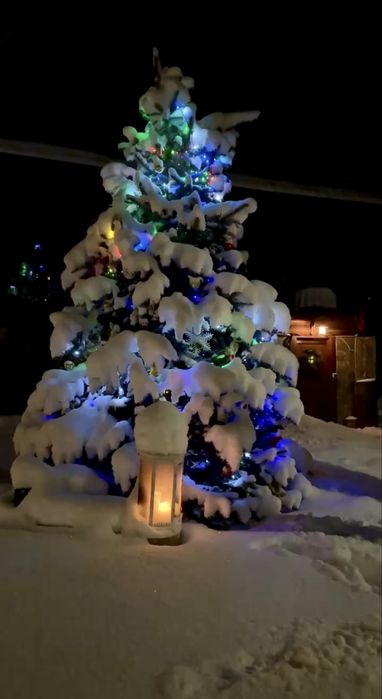 Затишний дерев'яний будиночок у тиші лісу на 4+2 осіб