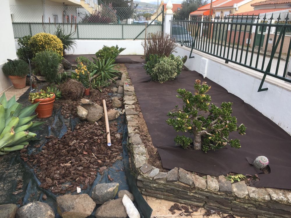 Realizo serviços Jardinagem