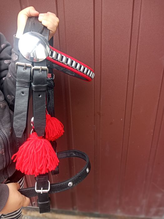 Uzda ogłowie kantar na konia