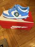 Жіночі кросівки Nike Dunk Low UNC GS