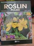 Ilustrowana encyklopedia roślin polski PWN