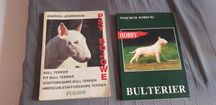 Książka bullterrier