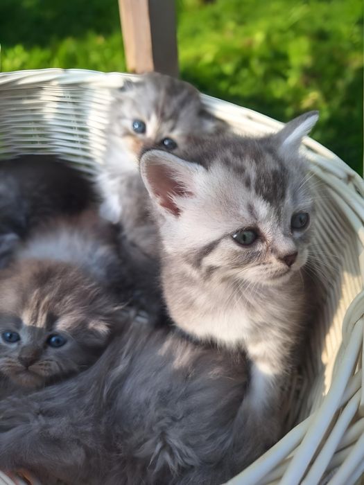 Мила та прикольна дитинка.