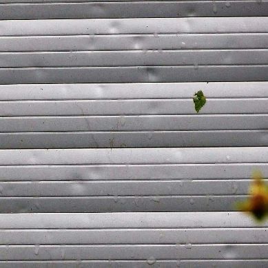 Reparação de Estores - Lisboa e arredores