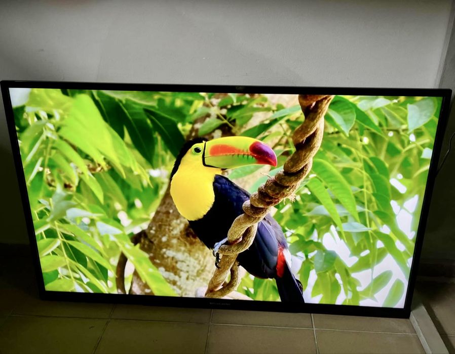 Телевізор ProCaster 50UNB800H Smart TV