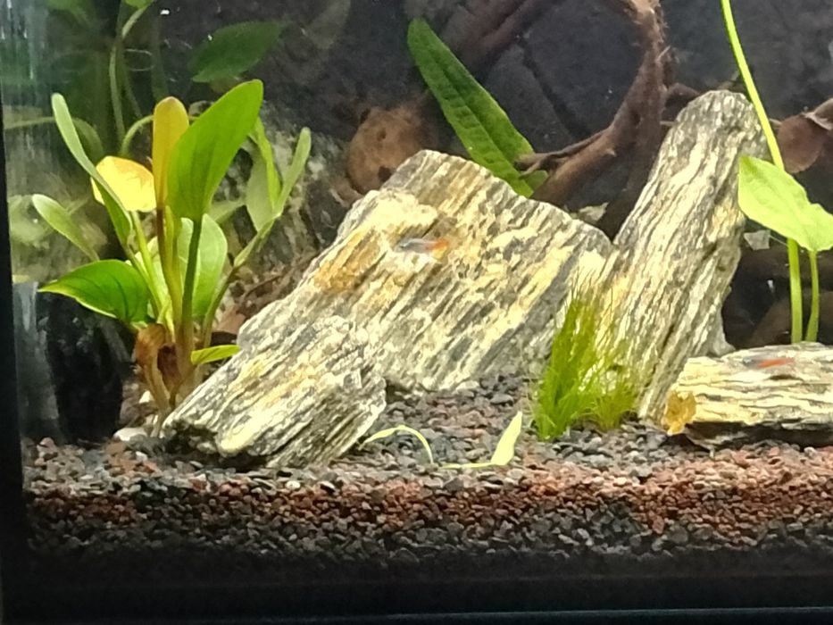 Akwarium 200l + zestaw.