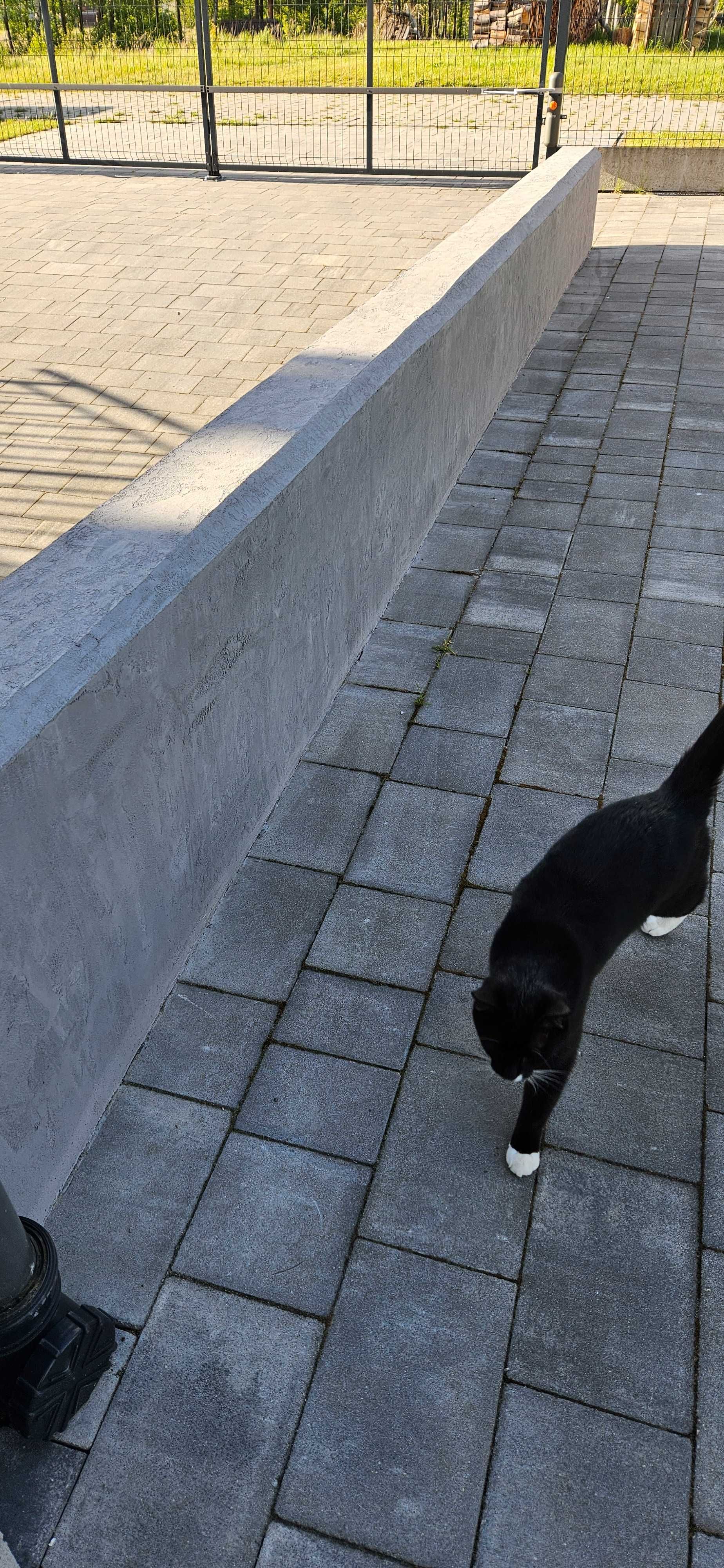 Kleib C25 tynk silikonowy imitacja betonu architektonicznego