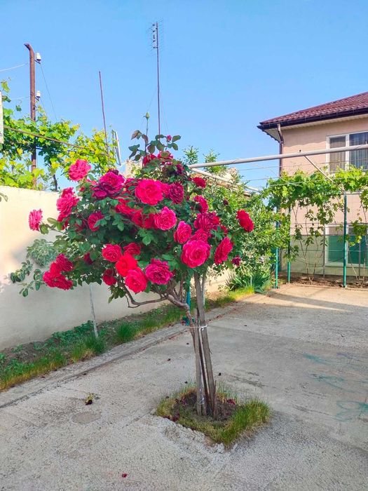 Отличная ЦЕНА! НОВОСТРОЙ возле МОРЯ, лучший район, евроремонт, балкон.