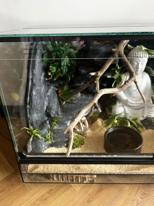 Terrarium z lokatorem