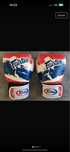 Luvas de boxe fairtex 16 oncas