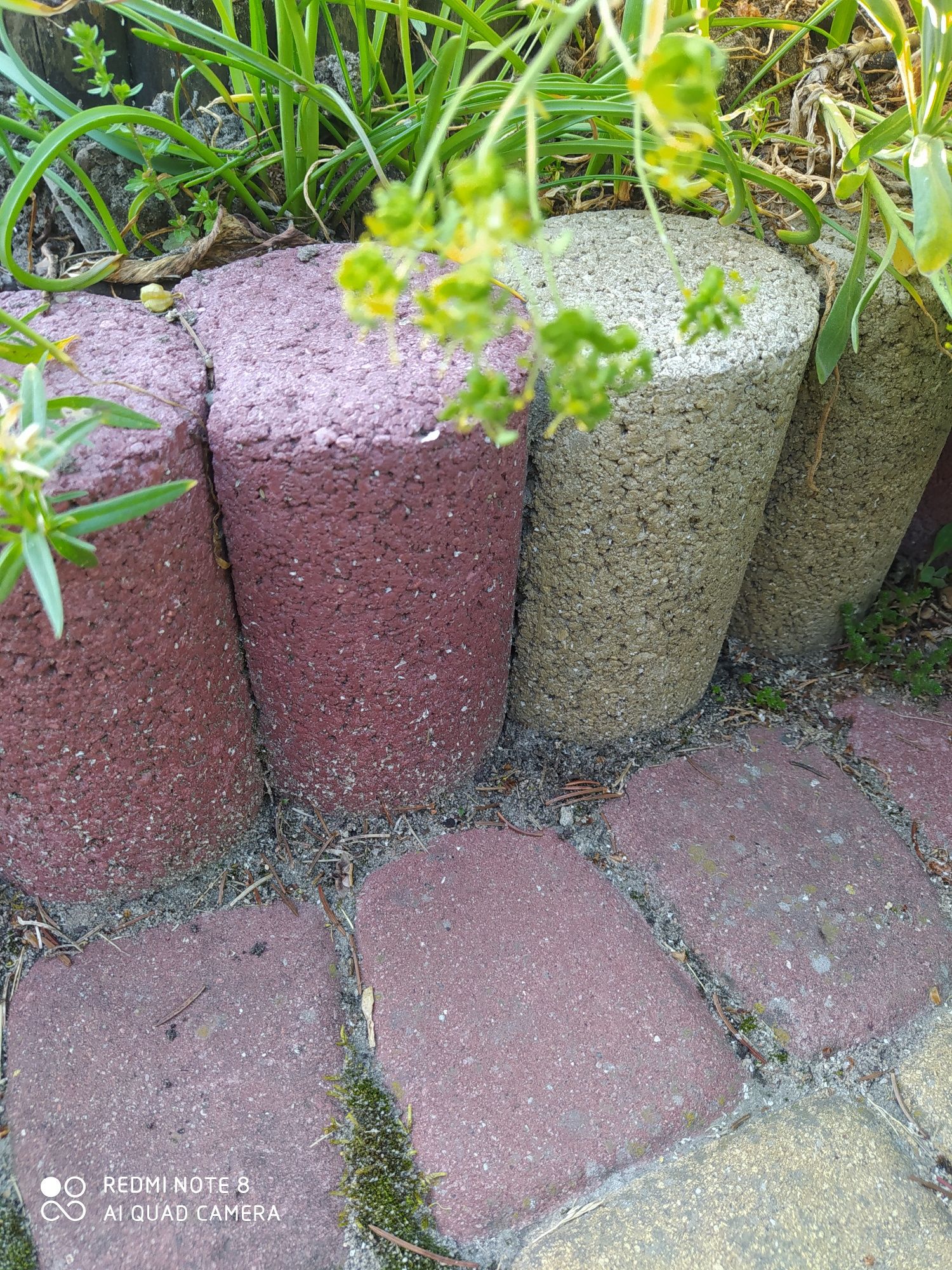 Palisada do skalniaków o wysokości 20 cm i średnicy 10 cm, okazja