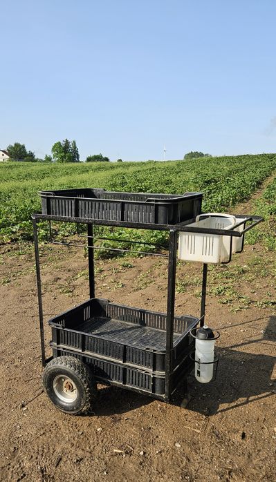 Wózek do owoców malin, borówek, jarzyn, wózek transportowy