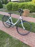 Rower damski miejski Pegasus Nexus 8 kola 28”