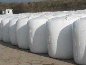 Kiszonka z kukurydzy w belach 2025 ( transport ) cena z dostawą